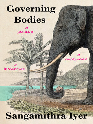 cover image of Governing Bodies